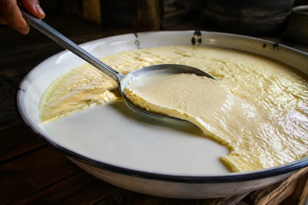 Concha rasa quase deitada retirando a camada amarelada de nata da superfície do leite, deixando aparecer o leite mais branco por baixo.