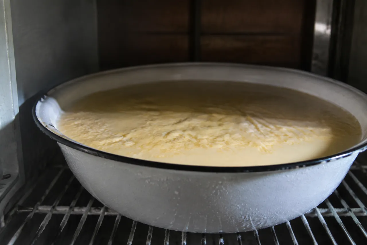 Vasilha larga e rasa de ágata esmaltada cheia de leite na prateleira da geladeira, com uma camada amarelada de nata visivelmente mais espessa na superfície.